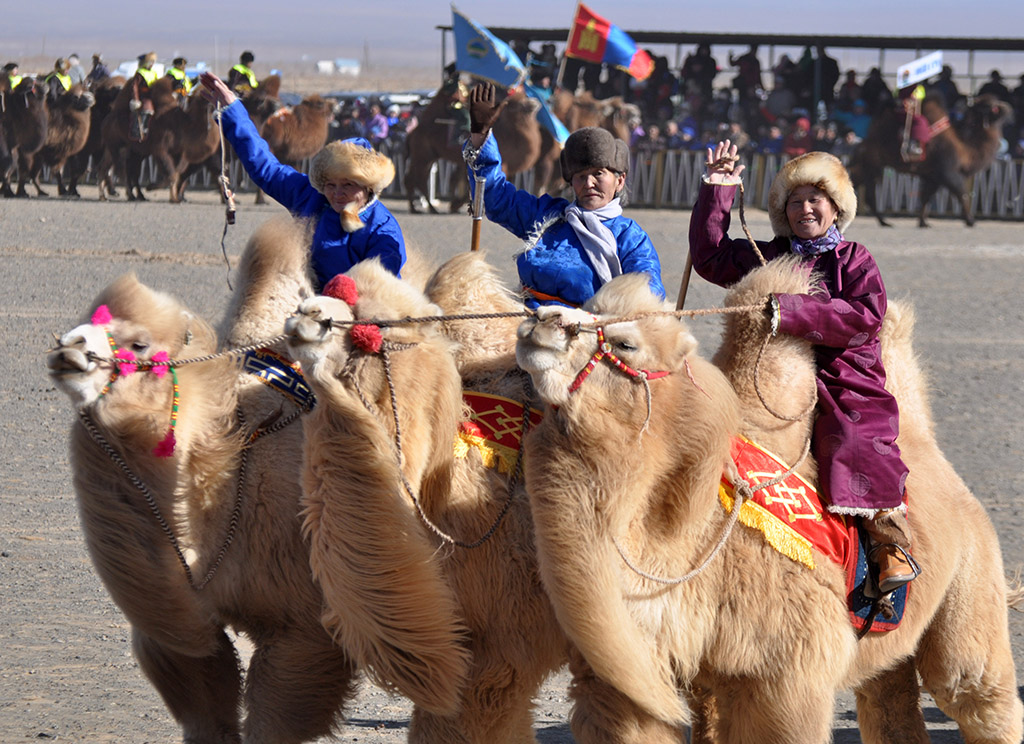 Camel Festival - Tour Mongolia (2)